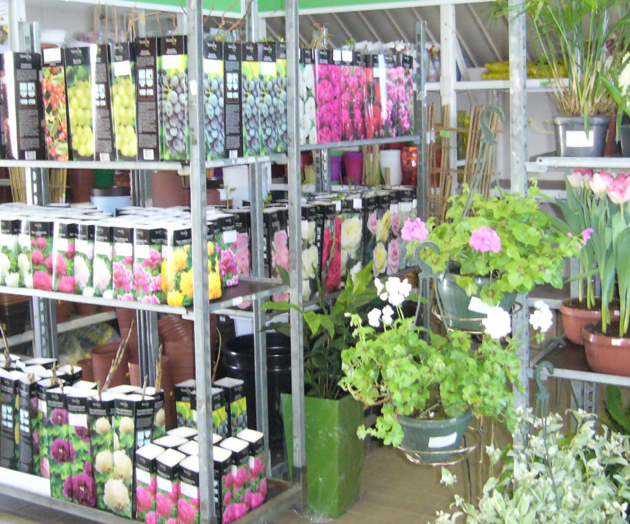 Specialist care of collectible plants